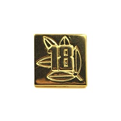 In huy hiệu kim loại cài áo giá rẻ - Mẫu 24